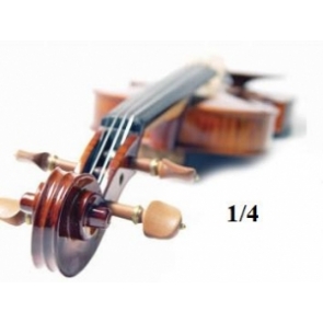 Playa Inseguro Triplicar Violines - Tienda online de instrumentos musicales | Trino Music