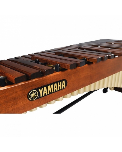 marimba production music