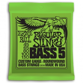 Cuerdas Ernie Ball Regular Slinky Bass 5