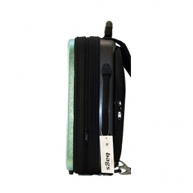 Estuche 2 Clarinetes Bags Inno