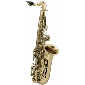 Saxofón Alto Roy Benson Para Niños AS-201