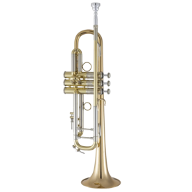 Trompeta Bach 190LV/65G Tudel 43 Campana Goldmessing