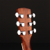 Guitarra Acustica Cort GA-FF NAT